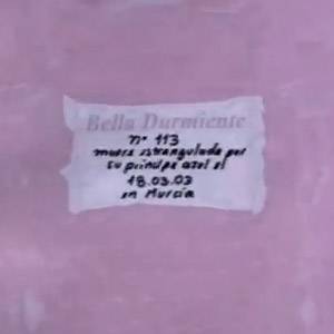 Bellas Durmientes | México España 2008