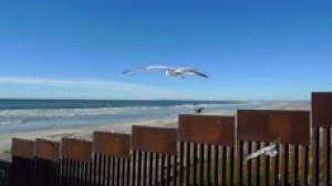 Borderline